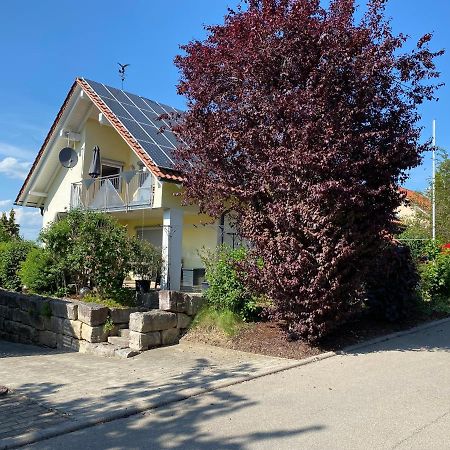 Heiligenborn Ferienwohnung Messmer Mit Terrasse מראה חיצוני תמונה